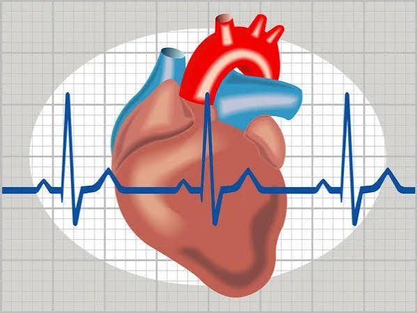 Electrocardiograma con representación del corazón
